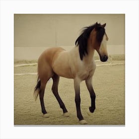 Beautiful Horse Canvas Print