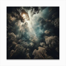 Forest 2 Canvas Print