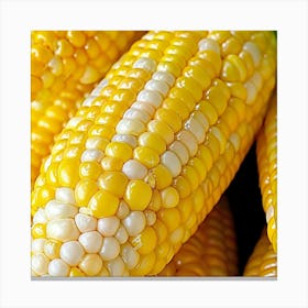 Yellow Corn Canvas Print