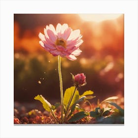 Pink Flower At Sunset 2 Canvas Print