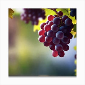 Grapes On The Vine 29 Canvas Print