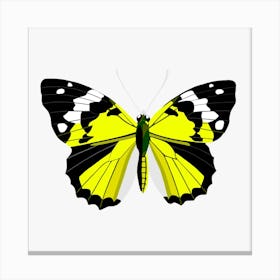 Butterfly yellow Canvas Print