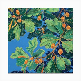 Acorns Canvas Print