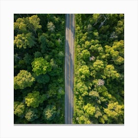 Aerial Photography Captures The Lush Expanse Of A Green Forest In The Height Of Spring Interplay Of Canvas Print