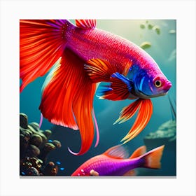 Brightly Colored Betta Fish 1 Canvas Print