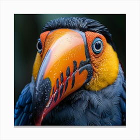 Toucan 26 Canvas Print