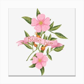 Rosehip pink flower Canvas Print