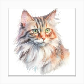 Kashmir Cat Portrait 2 Canvas Print