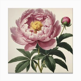 Peony flower plants painting art print Canvas Print