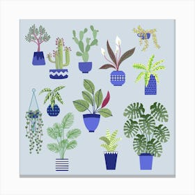 Potted House Plants Canvas Print