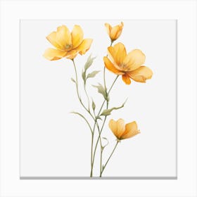 Yellow Poppies Canvas Print