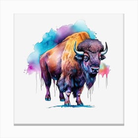 Bison 6 Canvas Print