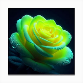 Yellow Rose 6 Canvas Print