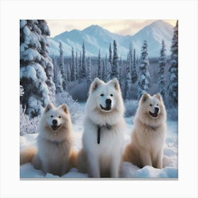 Three Samoyed Dogs Canvas Print