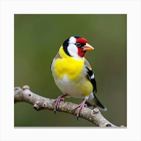 Colorful Goldfinch Perched On A Tree Branch 1 Canvas Print