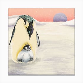 Penguin Hug Square Canvas Print