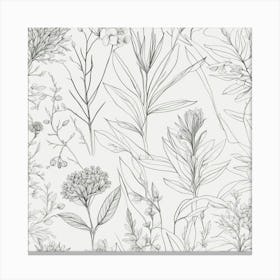 Botanical Illustration Canvas Print