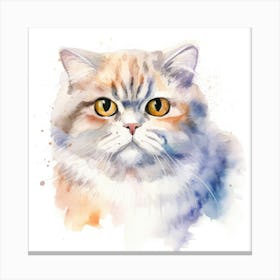 Scottish Fold Longhair Cat Portrait 3 Canvas Print