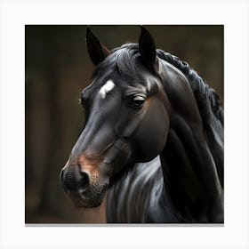 Black Horse 4 Canvas Print