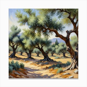 Olive Trees Art Print 2 Canvas Print