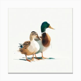 Ducks Canvas Print