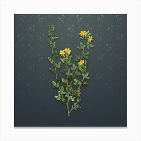 Vintage Yellow Jasmine Flowers Botanical on Slate Gray Pattern Canvas Print