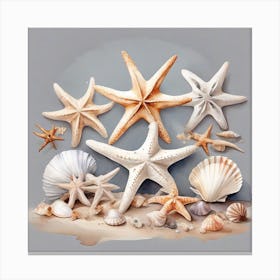 A Big Sea Stars and Shells Canvas Print