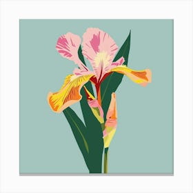 Iris 2 Square Flower Illustration Canvas Print