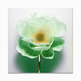 Peony 1 Canvas Print