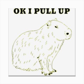 Ok I Shoot Funny Capybara Classic Canvas Print