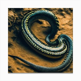 Snake In The Sand Canvas Print