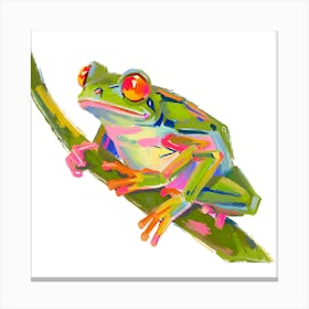 Red Eyed Tree Frog 08 Canvas Print