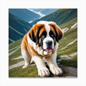 St Bernard Dog 47 Canvas Print