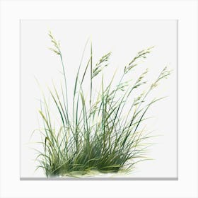 Watercolor-Spring-Grass-Clipart.8 Canvas Print