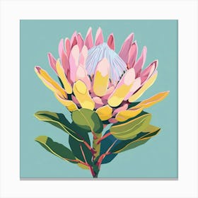 Protea 2 Square Flower Illustration Canvas Print