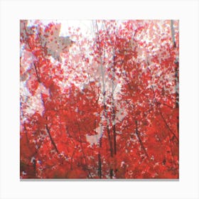 Maple (SQUARE) Canvas Print