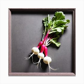 Radishes 22 Canvas Print