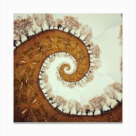 A tree - spiral - nature - photo montage Canvas Print