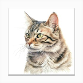 American Bobtail Cat Portrait Canvas Print