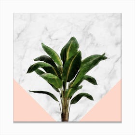 Banana Plant on Pink and Marble Wall Canvas Print