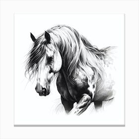 Horse Print Canvas Print