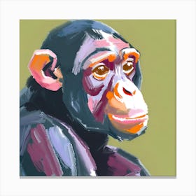 Chimpanzee 03 Canvas Print