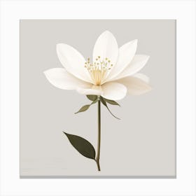 White Flower Canvas Print