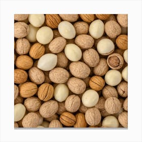 Walnuts 3 Canvas Print