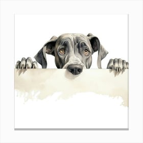 Great Dane Canvas Print