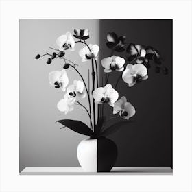 Black And White Orchids Canvas Print