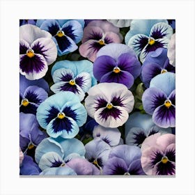 Pansies 3 Canvas Print