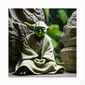 Yoda master 1 Canvas Print