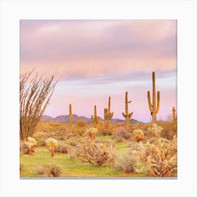 Pink Pastel Desert Views Canvas Print