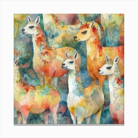 Llamas 1 Canvas Print